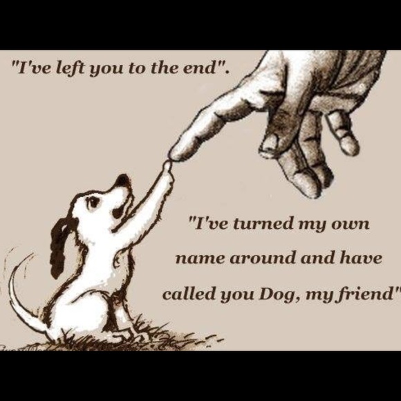 Hello - Picture 3 of 3